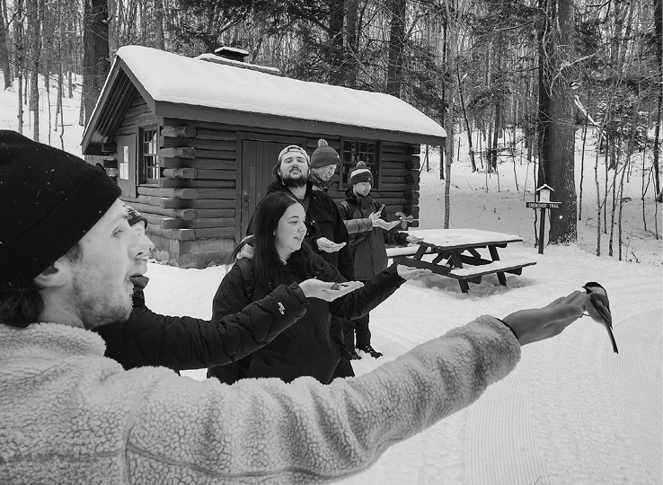 People feeding birds with a log cabin in the background