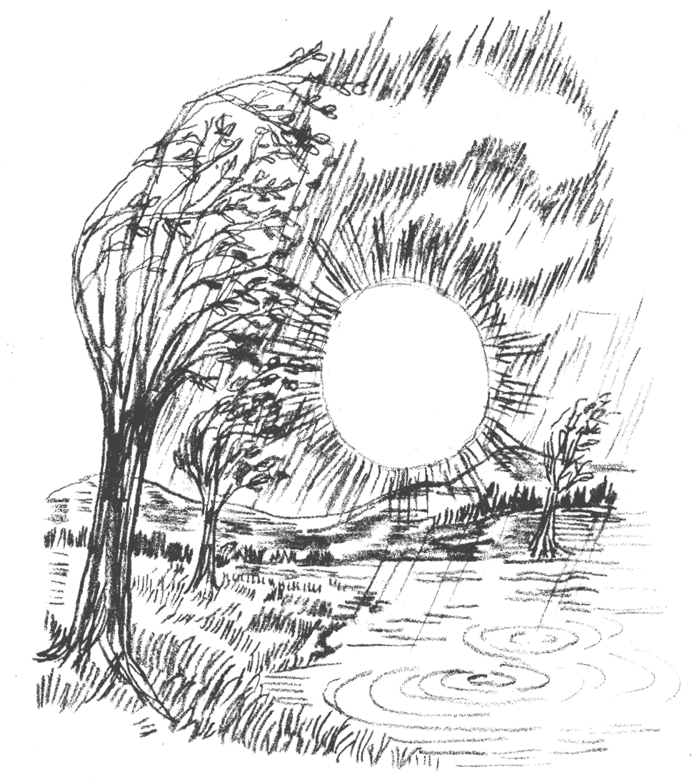 Pencil drawing of the sun in the background, with trees and a pond in the foreground